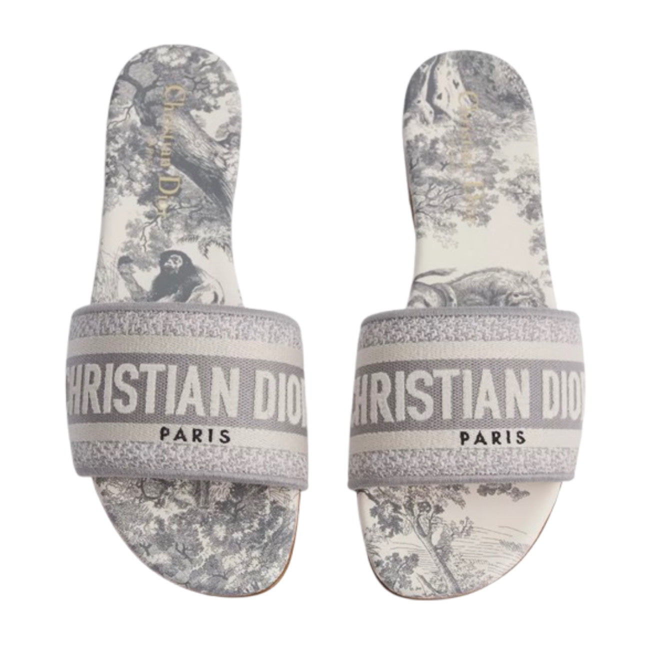 Dior Dway Slide Toile de Jouy 'Grey'